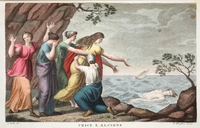 Ceyx et Alcyone ou Ceice e Alcione, livre XI, illustration des Métamorphoses d